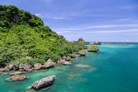 「南国」の画像 629,704 件の Stock 写真、ベクターおよびビデオ Adobe Stock