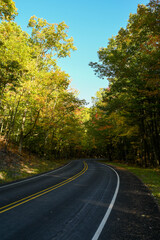 Fototapeta premium Deserted curvy road through a green forest with some orange leaves in the fall.