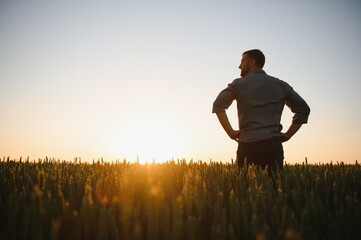 Back view of adult man farmer stand alone and look at sunset or sunrise in sky. Guy stand on wheat field. Ripe harvest time. Sun shines in sky