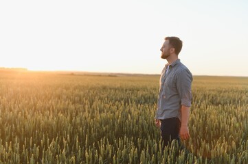silhouette of man looking at beautiful landscape in a field at sunset.