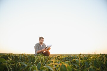 farmer agronomist in soybean field checking crops. Organic food production and cultivation.