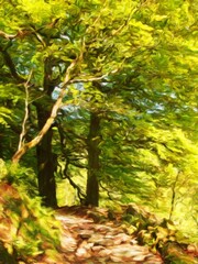 digital impressionist style painting of a springtime woodland with a narrow path between large beech trees with bright green glowing leaves illuminated by bright sunshine