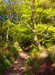 digital impressionist style painting of a springtime woodland with a narrow path between large beech trees with bright green glowing leaves illuminated by bright sunshine