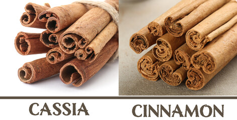 Collage with photos of cassia and ceylon cinnamon sticks, closeup. Banner design