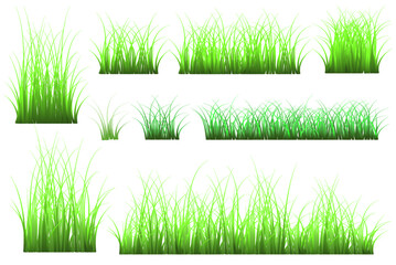 Fototapeta premium set of green grass