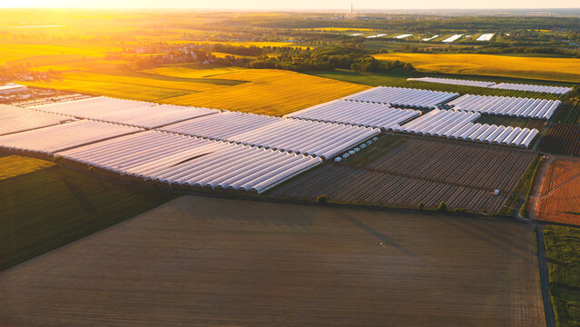 Aerial view of an organic greenhouse, growing vegetables and fruits in a greenhouse, large greenhouses located in the fields, aerial view - Powered by Adobe