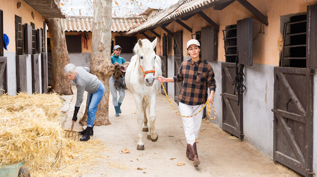 Stable courtyard - horse walking and tidying up