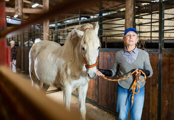 European elderly woman rancher holding rein and leading horse out of stable.