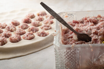 the process of making dumplings with meat, dough with meat..