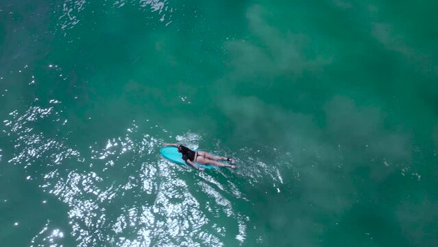 surfista nadando en la playa desde un dron 