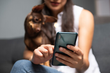 detail of female hands holding a smart phone, online shopping concept, selective focus