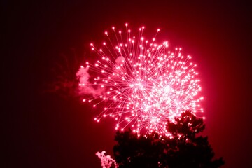 Fireworks in Luxembourg celebrating National Day and Grand Duke's birthday. Dark night, long exposure - obrazy, fototapety, plakaty