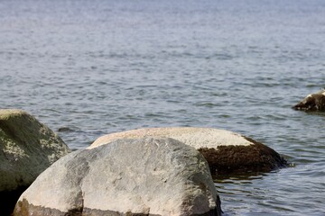 Lonely beach with boulders in Latvia in summer, low tide, green sea weed marks on stones, calm shallow sea, blue sky