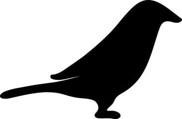  silhouettes of bird on white background. Vector illustration. 5.eps