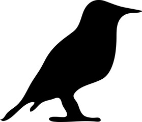 vector bird icon illustration design,.eps