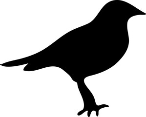 vector bird illustration on white background..eps