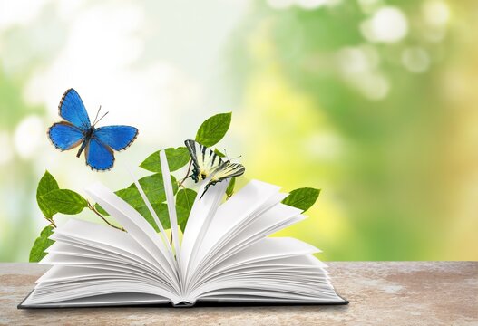 Open book with butterfly on wooden desk with natural background.