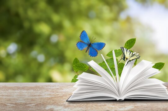 Open book with butterfly on wooden desk with natural background.