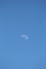 moon in the sky