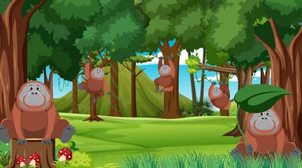 Orangutans in the forest scene © blueringmedia