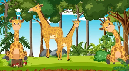 Giraffen in der Waldszene © blueringmedia