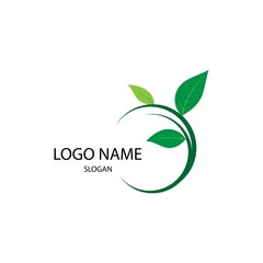 leaf nature logo concept template