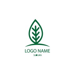 leaf nature logo concept template