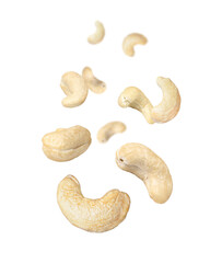 Cashew nut flying in the air isolated on white background.