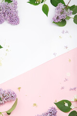 White and pink background with lilac flowers. © bit24