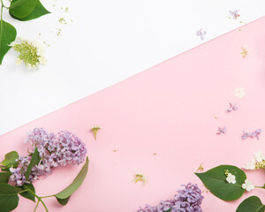 White and pink background with lilac flowers. © bit24