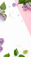 White and pink background with lilac flowers. © bit24