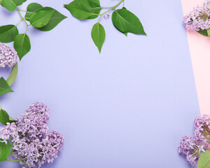 White and pink background with lilac flowers.