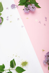White and pink background with lilac flowers. © bit24
