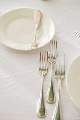 table setting with cutlery and napkin