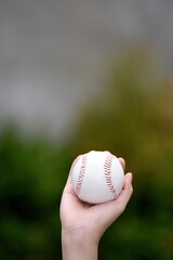 A Hand Holding Baseball