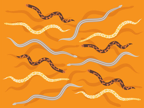 Snake Boa Python Pet Set Seamless Wallpaper Background