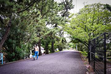 初夏の夙川公園付近の情景