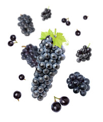 black grapes levitate in the air on white background