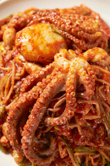 Braised Spicy Seafood and Octopus 