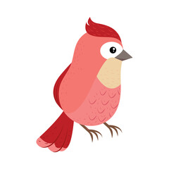 bird cartoon icon