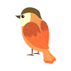 bird vector icon
