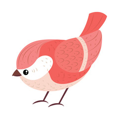 bird animal cartoon