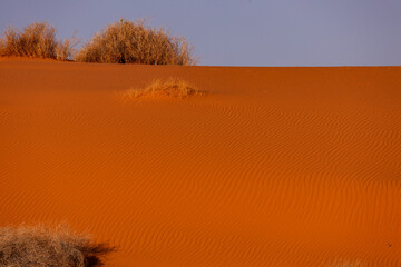 ripples in red sand dune