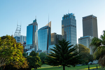 city skyline from botanic gardens