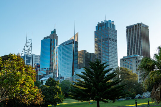 city skyline from botanic gardens