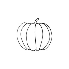 pumpkin hand drawn in doodle style. vegetable in simple line art.