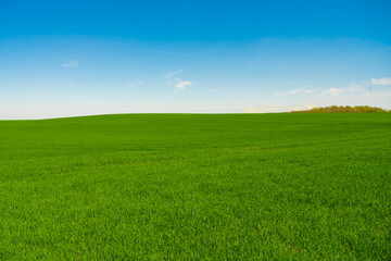 Obraz na płótnie Canvas Idyllic grassland, rolling green fields, blue sky and white clouds in the background