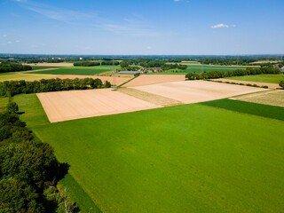 Farmland from above. Aerial view over green fields