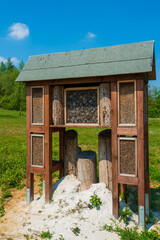 Insect hotel in a green hedge gives protection. Wooden insect house shelter for wild insects in...