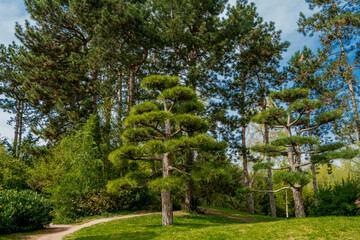  Japanese garden in Nordpark, Dusseldorf, Germany